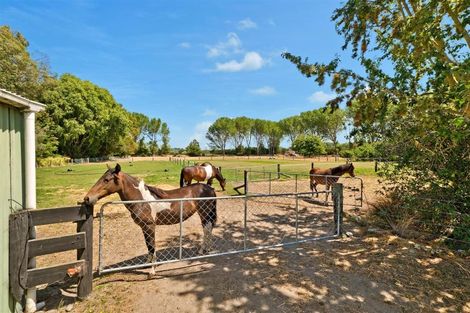 Photo of property in 138 Ridge Road, Lincoln, Christchurch, 7672
