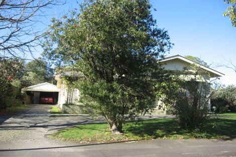 Photo of property in 19 Moerangi Street, West End, Palmerston North, 4410