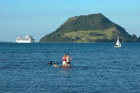 Photo of property in 20a Kulim Avenue, Otumoetai, Tauranga, 3110