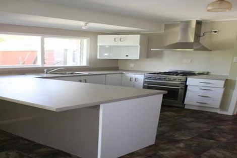 Photo of property in 195 Williams Road North, Pyes Pa, Tauranga, 3173