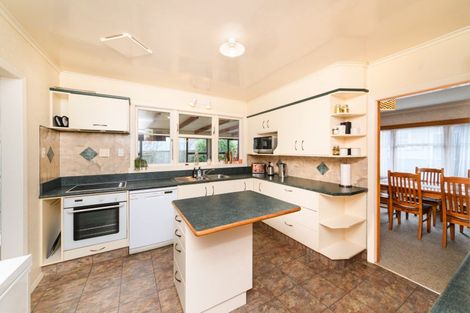 Photo of property in 23 Limbrick Street, Terrace End, Palmerston North, 4410