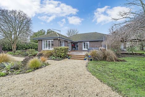 Photo of property in 11 Gordon Street, Southbridge, 7602