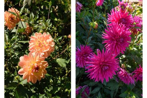 Photo of property in 3 Phillips Drive, Oropi, Tauranga, 3173