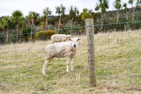 Photo of property in 164 Dons Creek Road, Mount Cargill, Waitati, 9085