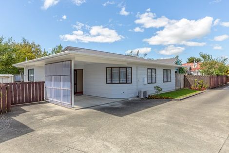 Photo of property in 35c Victoria Street, Masterton, 5810