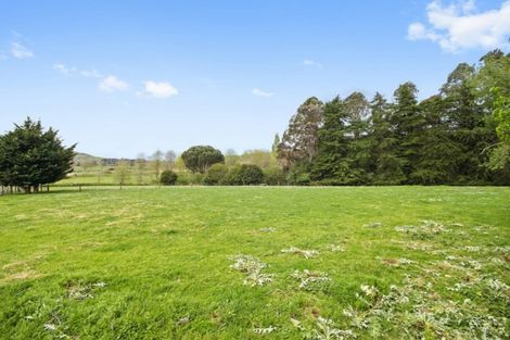 Photo of property in 867 Tuakau Bridge-port Waikato Road, Te Kohanga, Tuakau, 2693