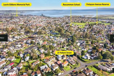 Photo of property in 37 Pallant Street, Manurewa, Auckland, 2102