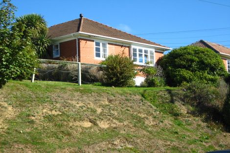 Photo of property in 230 Balmacewen Road, Wakari, Dunedin, 9010