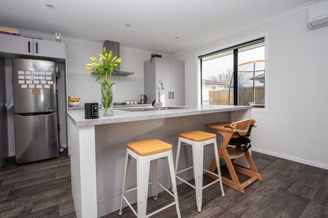 Photo of property in 344 Warburton Crescent, Te Awamutu, 3800