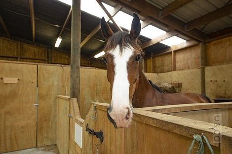 Photo of property in 17 Deacon Road, Riverhead, Kumeu, 0892