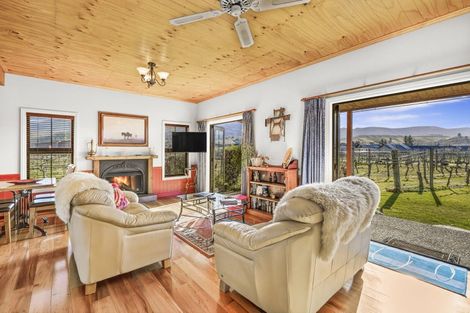 Photo of property in 1 Shortcut Road, Cromwell, 9310