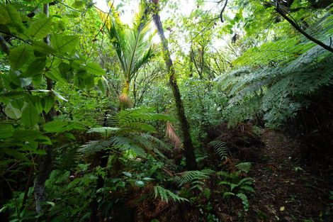 Photo of property in 99 Elmslie Road, Pinehaven, Upper Hutt, 5019