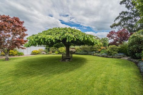 Photo of property in 171 Fairview Road, Fairview, Timaru, 7972
