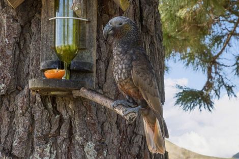 Photo of property in 56d Mataura Road, Waihi, 3610