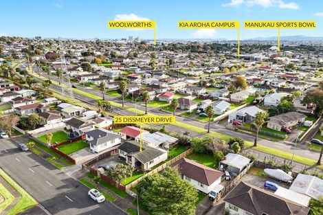 Photo of property in 25 Dissmeyer Drive, Clover Park, Auckland, 2019