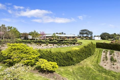 Photo of property in 8 Wavy Knowes Drive, Waldronville, Dunedin, 9018