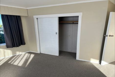 Photo of property in 28 Hinau Street, Maeroa, Hamilton, 3200