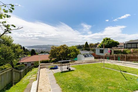 Photo of property in 119 Riselaw Road, Calton Hill, Dunedin, 9012