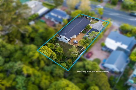 Photo of property in 50 Palomino Drive, Henderson, Auckland, 0612