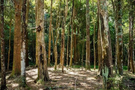 Photo of property in 136 Knight Road, Ruatangata West, Whangarei, 0176