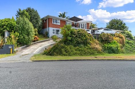 Photo of property in 17 Bledisloe Avenue, Putaruru, 3411