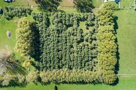 Photo of property in 1633 State Highway 3, Awahuri, Palmerston North, 4476