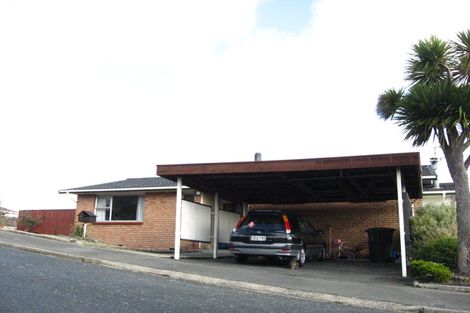 Photo of property in 25 Elliffe Place, Shiel Hill, Dunedin, 9013