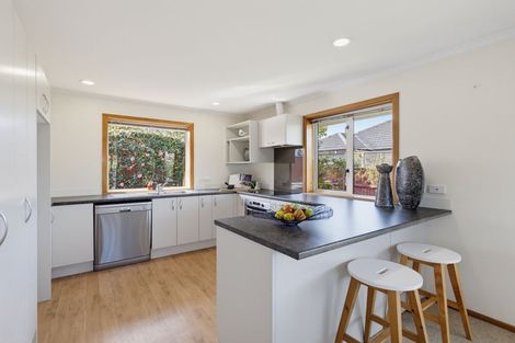 Photo of property in 36 Palmside Street, Somerfield, Christchurch, 8024