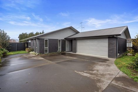 Photo of property in 20b Carisbrooke Street, Katikati, 3129