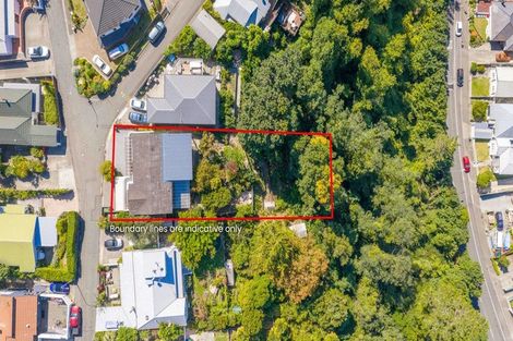 Photo of property in 17 Roslyn Road, Bluff Hill, Napier, 4110