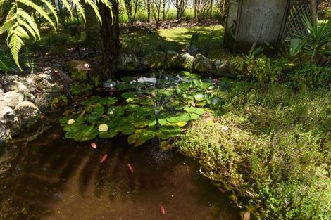 Photo of property in 41 Walter Henry Drive, Omanawa, Tauranga, 3171