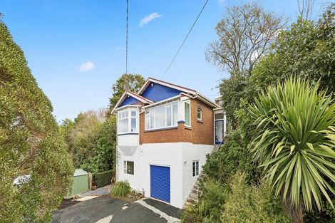 Photo of property in 47 Scarba Street, Roslyn, Dunedin, 9010