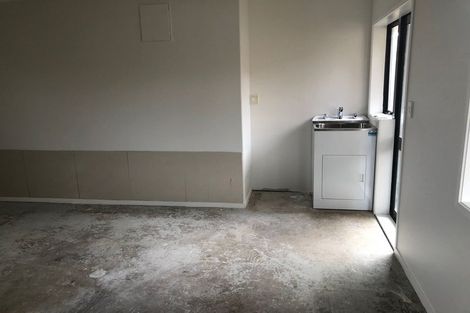Photo of property in 3 Andrusha Place, Flat Bush, Auckland, 2019