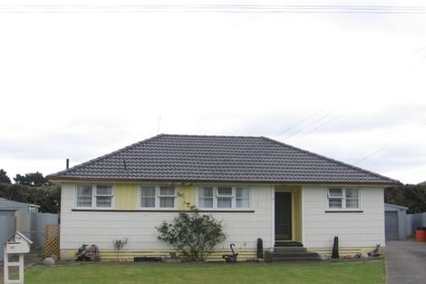 Photo of property in 19 Herrington Street, Foxton, 4814