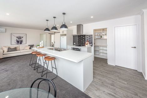 Photo of property in 74a Portal Street, Durie Hill, Wanganui, 4500