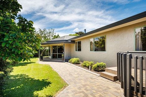 Photo of property in 29 Caroline Drive, Feilding, 4702