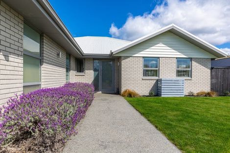 Photo of property in 7 Spencer Place, Springlands, Blenheim, 7201