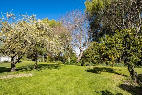Photo of property in 43 Holdaway Street, Riversdale, Blenheim, 7201