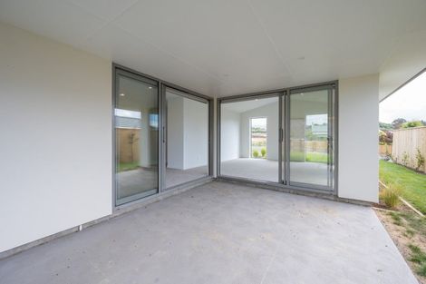 Photo of property in 41 Hart Road, Richmond, 7020