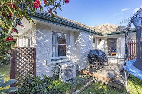 Photo of property in 49 Greenpark Street, Hoon Hay, Christchurch, 8025