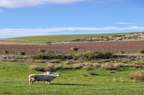 Photo of property in 962 Lake Ferry Road, Dyerville, Martinborough, 5781