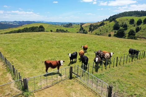 Photo of property in 579 Ormiston Road, Ruakaka, Waipu, 0582