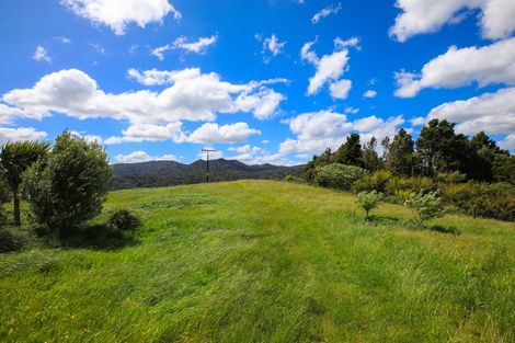Photo of property in 132 Swetman Road, Waikino, Waihi, 3682
