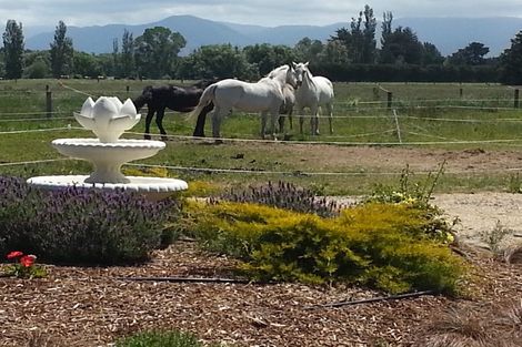 Photo of property in 298 Birch Hill Road, Okuku, Rangiora, 7473