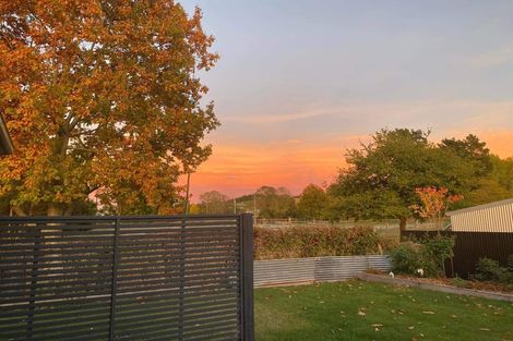 Photo of property in 79a Mckenzie Street, Geraldine, 7930