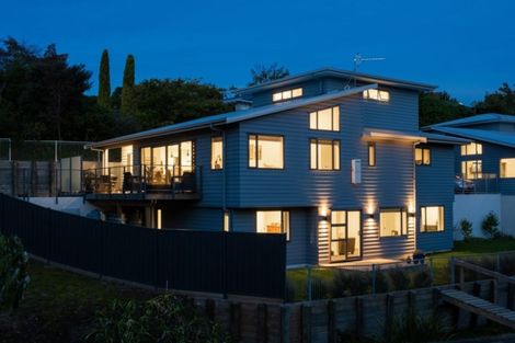 Photo of property in 14a Muritai Crescent, Havelock North, 4130