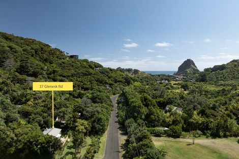 Photo of property in 37 Glenesk Road, Piha, New Lynn, 0772