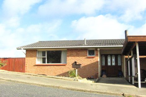 Photo of property in 25 Elliffe Place, Shiel Hill, Dunedin, 9013