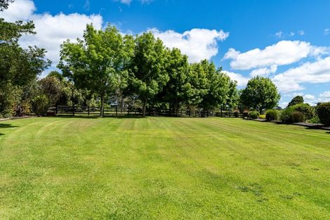 Photo of property in 319 Mangapai Caves Road, Mangapai, Whangarei, 0178