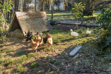 Photo of property in 915 Blackburn Road, Ongaonga, 4278